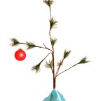 Searching for the Hope of Christmas